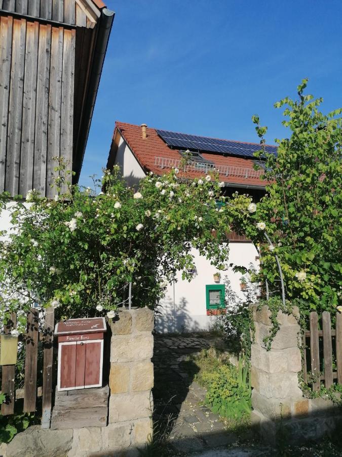 Ferienwohnung Villa Claudia Dresden Buitenkant foto